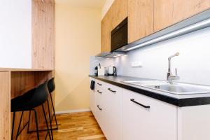 une cuisine avec un évier et un comptoir dans l'établissement Horský apartmán Temari 11 Klínovec, à Loučná pod Klínovcem 5 autres photos