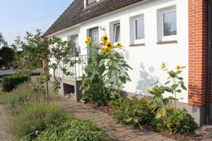 un jardín con girasoles al lado de una casa en "Hygge", ideal für E-biker und Kite-Surfer en Landkirchen