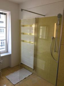 um chuveiro com uma porta de vidro na casa de banho em Altbautraum am Gärtnerplatz em Munique