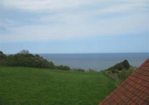 a view of a green field with the ocean in the background at Holbrooks House in Robin Hood's Bay