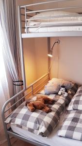 a bunk bed with a cat and a stuffed animal on it at Familienwohnung MANDO in Neue Tiefe Fehmarn