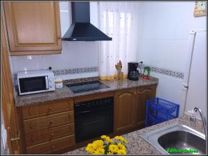 uma cozinha com um fogão, um micro-ondas e um lavatório em Apartamento Solaes Climatizado em Benicarló