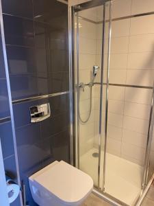 a bathroom with a shower and a toilet at Apartament Tignes Czarna Góra in Sienna