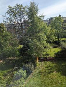ein Baum in einem Park mit einem Gebäude im Hintergrund in der Unterkunft Bright Room Close to City Centre in Edinburgh