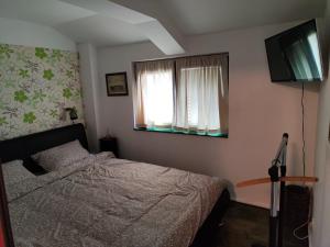 1 dormitorio con cama y ventana en Apartman Cvetić, en Kragujevac