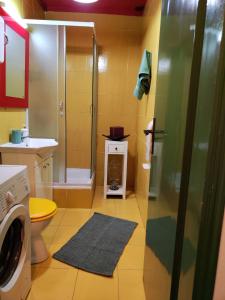 y baño con ducha y lavadora. en Apartman Cvetić, en Kragujevac