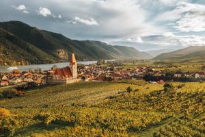 eine kleine Stadt auf einem Hügel mit einem Fluss und einem Dorf in der Unterkunft Weingut Ferdl Denk in Weissenkirchen in der Wachau