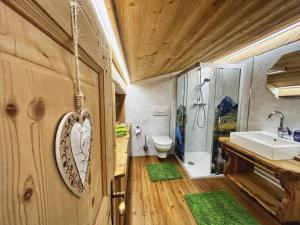uma casa de banho com um lavatório, um chuveiro e um WC. em Haus Silberwang em Sankt Gallenkirch