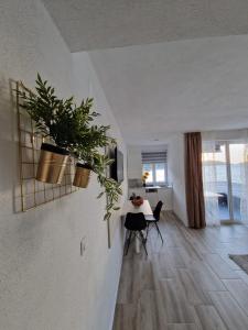 a living room with a table with plants on the wall at Modern Dream Apartment in Neum +18 photos