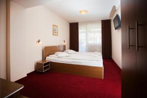 クルジュ・ナポカにあるCasa Bocaのベッドルーム1室(白いシーツと赤いカーペットのベッド1台付)