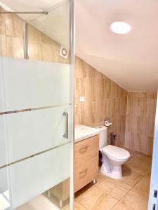 uma casa de banho com um chuveiro e um WC. em Safari apartment in heart of Cannes and beaches em Cannes