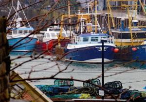 Fotografie z fotogalerie ubytování Harbour View v destinaci Scarborough