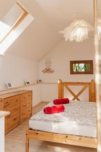 KisapátiにあるChill'Inn Country Home in the Balaton Uplandsのベッドルーム1室(赤い枕のベッド1台付)