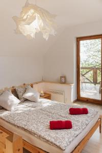 sypialnia z łóżkiem z 2 czerwonymi poduszkami w obiekcie Chill'Inn Country Home in the Balaton Uplands w mieście Kisapáti