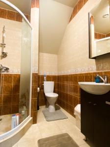 ein Bad mit einem WC, einem Waschbecken und einer Dusche in der Unterkunft House in Druskininkai Oldtown in Druskininkai