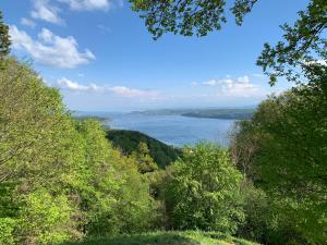 Blick auf einen See von einem Hügel mit Bäumen in der Unterkunft Gasthaus Traube, Ludwigshafen, Bodensee, Seenah gelegen in Bodman-Ludwigshafen