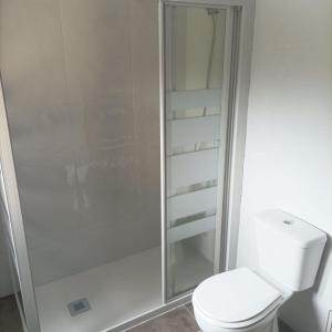 a white bathroom with a toilet and a shower at La Panera del Mejicano in Trevías