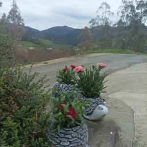 Galeriebild der Unterkunft La Panera del Mejicano in Trevías