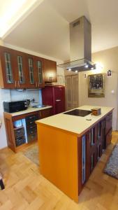 Nhà bếp/bếp nhỏ tại Art Styles Boutique Apartment Szentendre