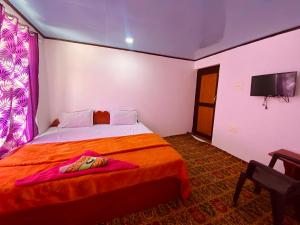 a bedroom with a bed and a tv on the wall at Hotel Border View in Kargil