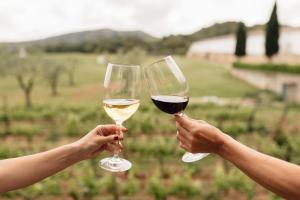 Bebidas en Hotel Rural Sant Patrici
