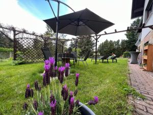Ein Garten an der Unterkunft Ferienwohnung Thiel