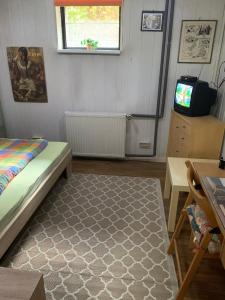 een kamer met een bed en een televisie en een tapijt bij Schönes Zimmer im Seterant/Untergeschoss in Essen