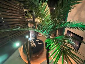 Fotografie z fotogalerie ubytování OMIRA - Nuits d'exception & Spa v destinaci Bordeaux