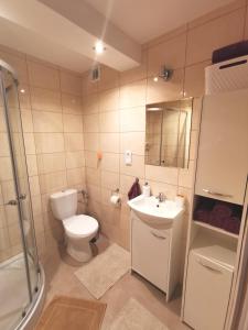 a bathroom with a toilet and a sink and a shower at Wyspani Zator in Zator