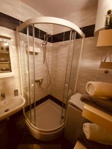 a bathroom with a shower and a sink at Sea La Vie! in Novalja