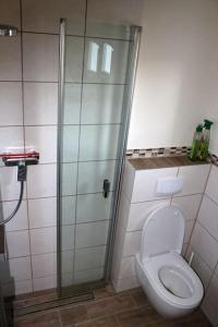 een badkamer met een douche en een toilet bij Ferienwohnung Hückeswagen (Bevertalsperre) in Hückeswagen