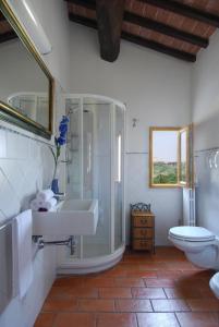 y baño con ducha, lavabo y aseo. en Agriturismo Raccianello, en San Gimignano