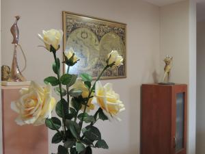 Fotografie z fotogalerie ubytování Miami Studios v destinaci Loutra Edipsou
