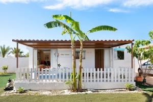 a small white house with a white fence and a palm tree at Villa Triana in Chiclana de la Frontera