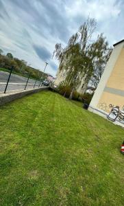 a park with a fence and a field of grass at moderne Ferienwohnung am Stadtwald von Plauen in Plauen