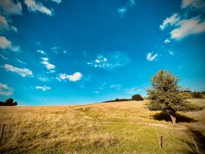 Gallery image of Agroturystyka Janowa Chata in Krajanow