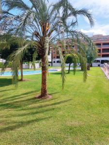 un grupo de palmeras en un parque en Jardines de las Marinas, en Denia