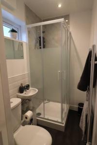 a bathroom with a shower and a toilet and a sink at Stylish one bed apartment with off road parking in Birmingham