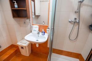 Kúpeľňa v ubytovaní Apart-Invest Apartament Hajduczek