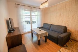 a living room with a couch and a television at Apart-Invest Apartament Hajduczek in Szklarska Poręba