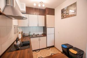Kuchyňa alebo kuchynka v ubytovaní Apart-Invest Apartament Hajduczek