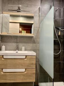 a bathroom with a sink and a shower at Appartement Duplex Forclaz in Chamonix-Mont-Blanc +26 photos