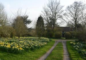 a dirt road through a field of flowers at Coach House Cottage in Middleton