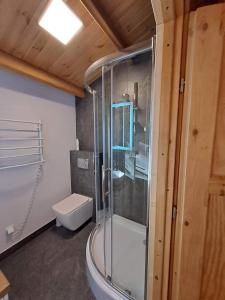 a bathroom with a shower and a toilet at Domki Na Winnicy 