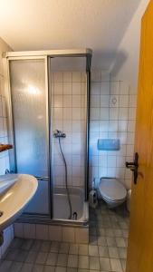 uma casa de banho com um chuveiro, um WC e um lavatório. em Gästehaus Holzer Kreuz- Gästezimmer Margerite für 2 Personen inkl Landfrühstück em Fröhnd
