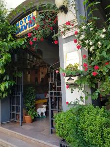 una tienda con flores en la parte delantera de un edificio en David Hotel - Ethno style, en Tiflis