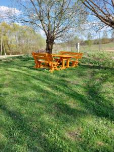 two wooden benches sitting next to a tree in a field at Marija in Krāslava