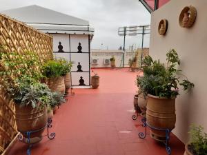 a patio with potted plants on a building at Hotel Mentaga in Taroudant