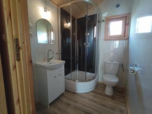 a bathroom with a shower and a toilet and a sink at Domek 1 w Rancho Żnin in Żnin +8 photos