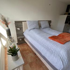 ein Schlafzimmer mit einem Bett mit blauer Decke und einer Pflanze in der Unterkunft Ferienwohnung 1 Zimmer App Ankerplatz 43 im Olympiazentrum in Kiel